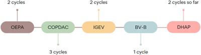 Case Report: Brentuximab Vedotin Associated Acute Pancreatitis in a Pediatric Hodgkin Lymphoma Patient: Case Report and Literature Review